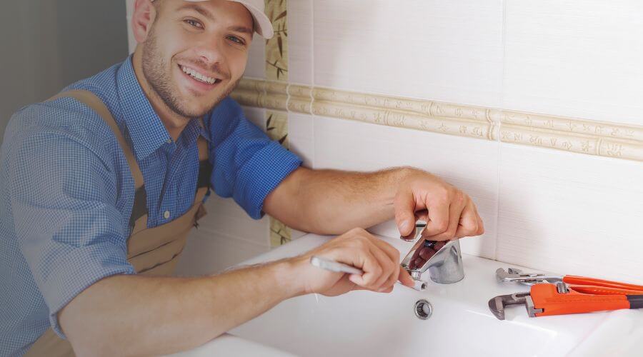 Professional Leak Detection Services services in Albion, IA